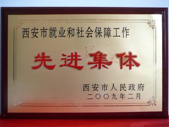 2009年2月，被西安市政府评为西安市就业和社会保障事情先进整体